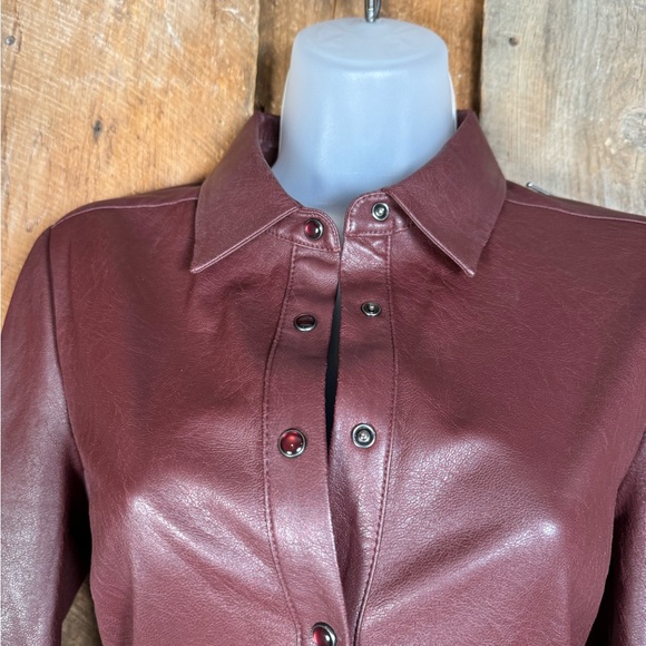 BCBG MaxAzria Brown Faux Leather Dress - Size XX-Small - Picture 3 of 13